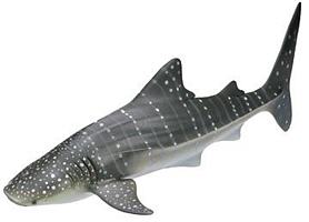 Китовая акула